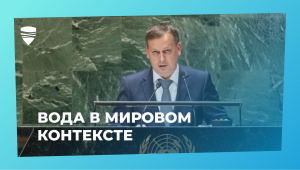 Выступление Дмитрия Кириллова на Конференции ООН по водным ресурсам