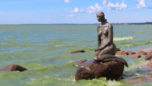 ОБНАРУЖИЛИ РУСАЛКУ НА БЕРЕГУ ФИНСКОГО ЗАЛИВА/FOUND A MERMAID ON THE SHORE OF THE GULF OF FINLAND смотреть онлайн
