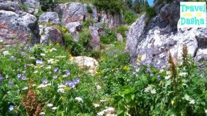 Шикарный отдых в России летом!!!Или как мы ездили в Лаго Наки ✿