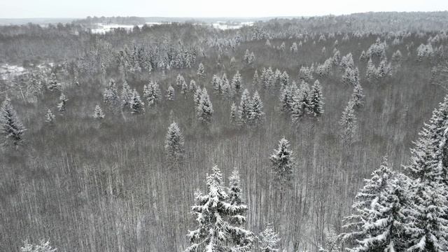Шуйское. Воскресное Евангелие: притча о милосердном самарянине. смотреть онлайн