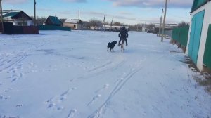 ПЕРВЫЙ СНЕГ-ПЕРВОЕ ПАДЕНИЕ! СНЕЖНАЯ ПОКАТУШКА НА МОПЕДЕ! разложился(