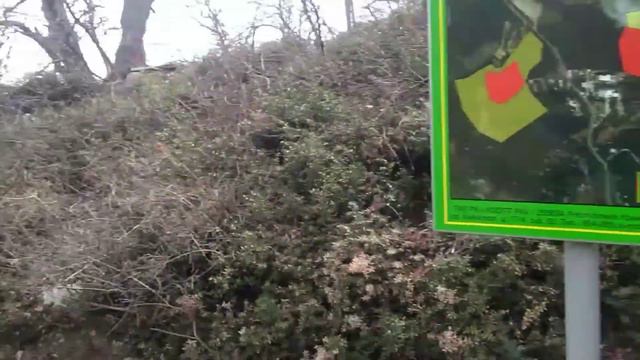 Обнаружил палаточный городок в горах у моря. Кемпинг
