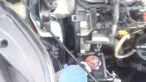 Писк ремня в двигателе 2.0HDi (Peugeot Partner)