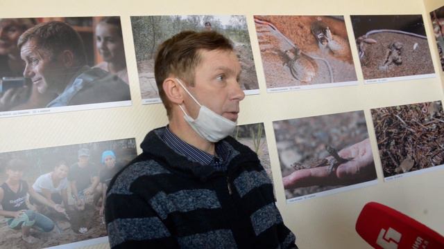 "Спасение дальневосточной черепахи": Дмитрий Кришкевич о зимовке рептилий в домашних условиях смотреть онлайн