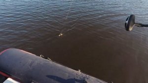 Рыбалка с новым спиннингом AKARA Magista GT