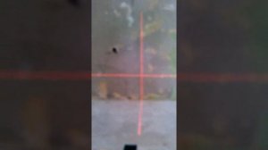 Лазерный нивелир Bosch Quigo