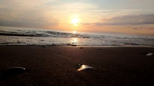 Красота и спокойствие Чёрного моря