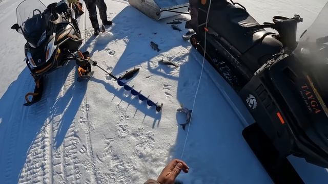 Второй день рыбалки по хариусу. Супер клев. смотреть онлайн