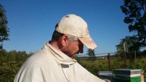 НУКЛЕУС ДЛЯ ПЧЁЛ СВОИМИ РУКАМИ/ СТАНДАРТНАЯ РАМКА 230ММ/пчеловодство 2020