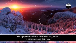 Salim Bahanan. 2 Аль-Бакара (Корова), аяты 30-57