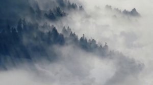 Astropilot & Vena Portae & Aksemetrix - Rain Forest Dreams