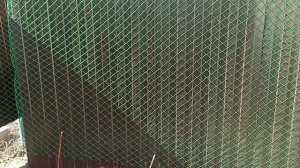 Опора для ежевики и чёрной малины