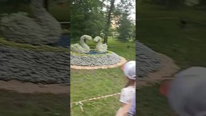 день города - флора Омск 2024