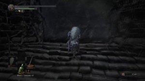 Dark Souls 3. #19. Тлеющее озеро (часть 3). Путь к огромному арбалету