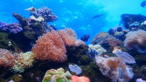 ДОБРЕЙШИЙ ЧЕЛОВЕК ЖИВЁТ В УЖАСНЫХ УСЛОВИЯХ , ПЕРЕПИСАВ КВАРТИРУ ЗА СВОЙ УХОД !!! ? ? ВАСЯ НА СЕНЕ !