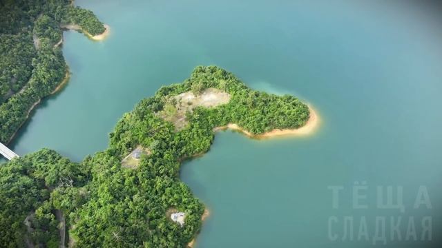 ЗЯТЬ ГОНЯЛ МЕНЯ НА ТРЕНИРОВАКАХ, а Я ЕГО ПОСЛЕ! ! Истории из жизни - ТЁЩА и ЗЯТЬ. Теща Сладкая смотреть онлайн