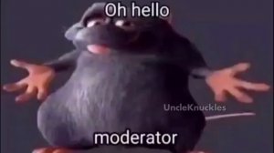 hello moderator