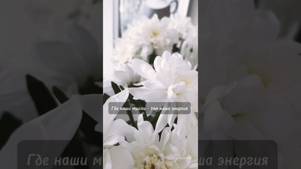 #саморазвитие #психология #позитивноенастроение #позитивноемышление #радоватьсяжизни #ценностьжизни