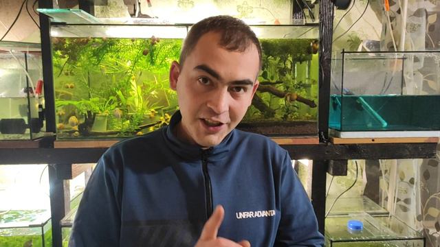 МОЛИНЕЗИЯ родила первая. смотреть онлайн