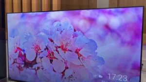 Телевизор TCL 32s5400AF ИЛИ XIAOMI A2 ЧТО ВЫБРАТЬ