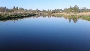 Рыбалка на Ижоре. Проблемы с экологией!