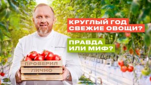 КРУГЛЫЙ ГОД СВЕЖИЕ ОВОЩИ? ПРАВДА ИЛИ МИФ// ПРОВЕРИЛ ЛИЧНО КОНСТАНТИН ИВЛЕВ