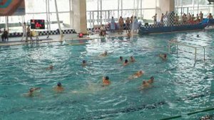 2009-03-04 пер Рос 1989г рож Radiorama-Yeti (Maxi)