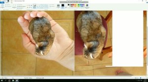 Обработка фото в Paint (объединение двух фото в одно)
