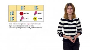 6. Дигибридное и полигибридное скрещивание. Решение генетических задач 9 - 11 класс