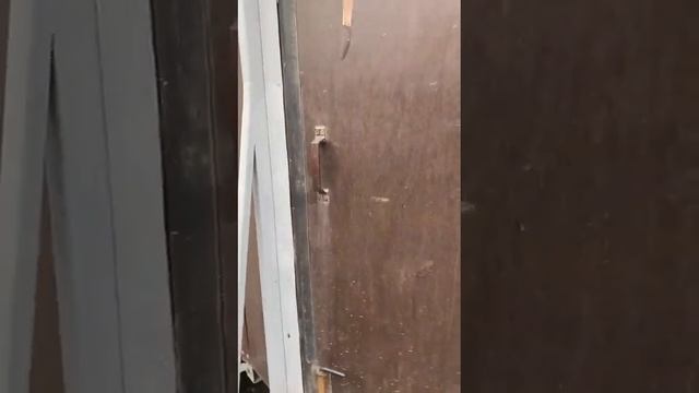 Продам прицеп коневоз цена 300.000 Вацап +79521415242 смотреть онлайн