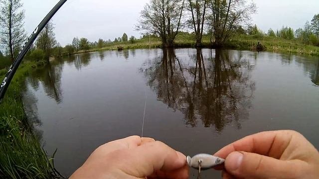 Окунь или голавль. Рыбалка на мульт на реке в начале лета. Где лучше клюёт?
