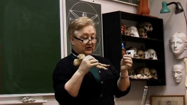 Нижние конечности. лекция Соколовской Татьяны Юрьевны СХУ им. А.П. Боголюбова