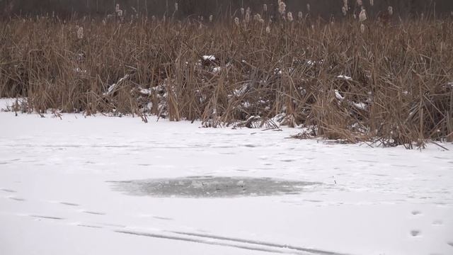 Experiment: Many Different Things in Deep UnderICE | ICE vs смотреть онлайн