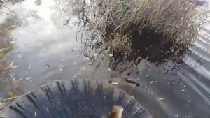 Что делать если не клюёт на рыбалке
