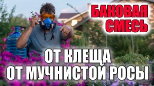 БАКОВАЯ СМЕСЬ от клеща и мучнистой росы, применяю на не пищевых растениях