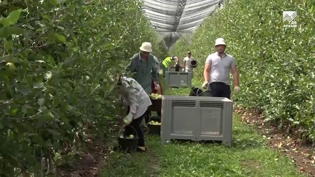 В 2024 году в КЧР появится оптово-распределительный центр «Архыз-Фрут логистик»