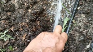 полив из бочки без насоса.? Белгород.