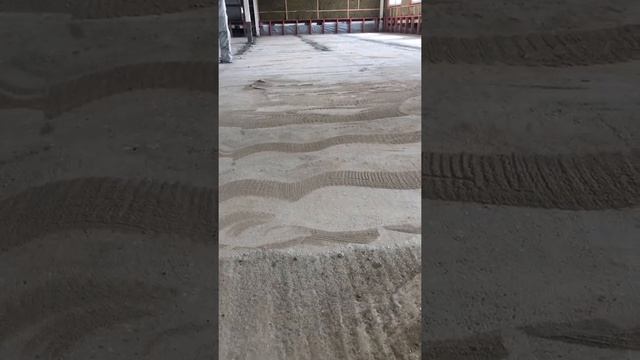 Шлифовка бетонного пола смотреть онлайн