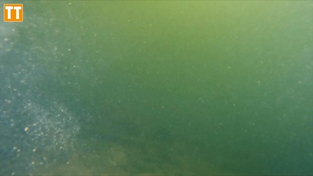 Tagg's Island. Freediving in the River Thames смотреть онлайн