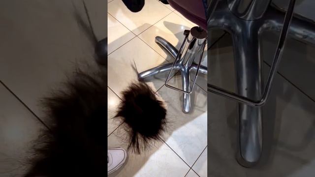 #стрижки #женщины #москва#shorts#women смотреть онлайн