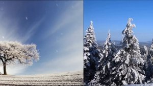 27 числа каждого месяца напишите свое желание на лавровом листе и сожгите его