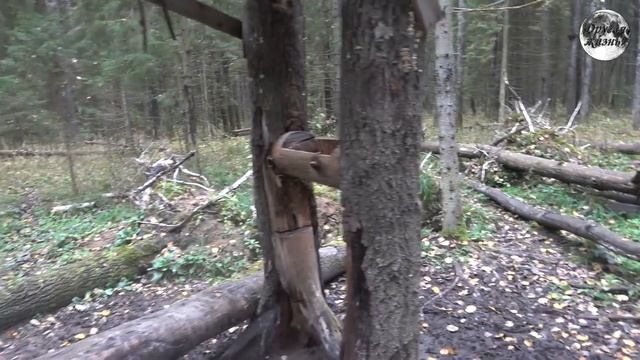 Ностальгия по осени | Домонгол   #коп #путешествия #находки