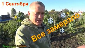 Мороз нечаянно нагрянул Вьетнамские поросята Деревенская жизнь