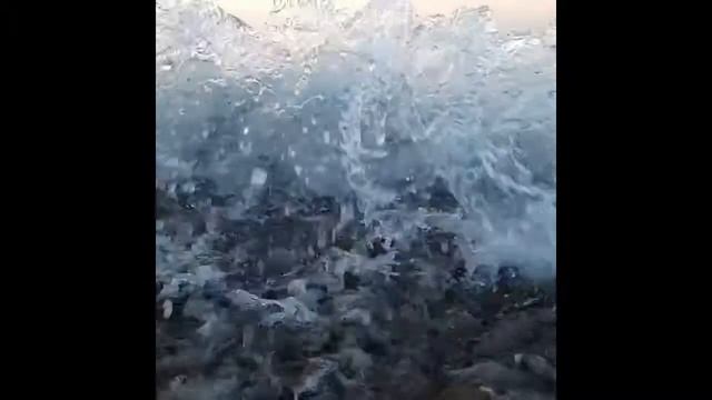 Разнообразие природы