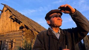 ЗАМЕРЗАЮТ МОИ ГЕОРГИНЫ