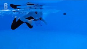 Мембраны на пальцы Амфибия Ласты для рук Обзор товара Отзывы Купить Заказать