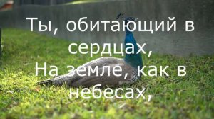 Вижу Бога Каждый день/I see God Every day