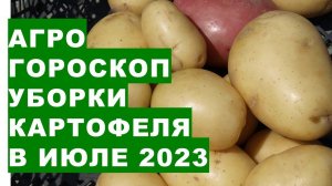 Агрогороскоп уборки картофеля в июле 2023 года. Агрогороскоп збирання врожаю картоплі в липні 2023