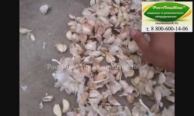 Машина чистки чеснока GBFZ-100 смотреть онлайн
