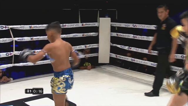 peleador supremo pelea de exhibicion de Muay thai смотреть онлайн